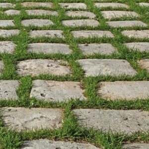 Pavés Napoléon avec joints gazon