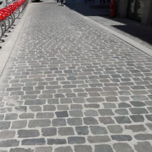 Pavés de Lyon sciés