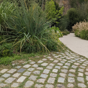 Pavés avec jointement en herbe