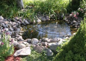 bassin de jardin entouré de galets